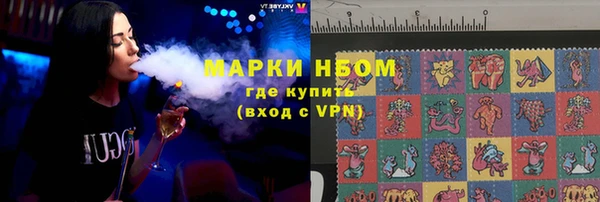 шишки Каменка