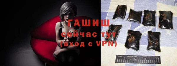 шишки Каменка