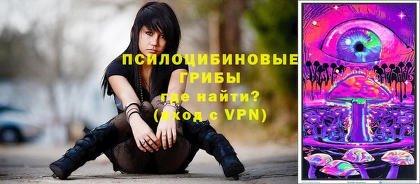 дурь Карпинск