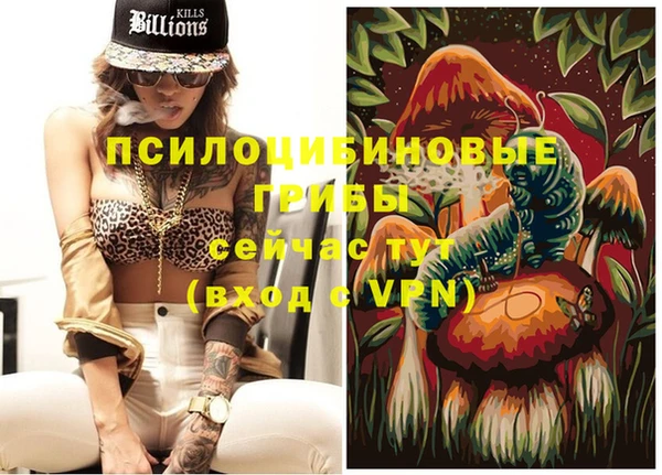 молекула духа Каменногорск