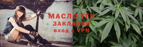 шишки Каменка