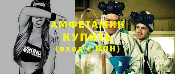 шишки Каменка