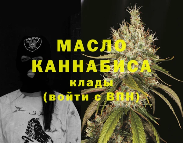 молекула духа Каменногорск
